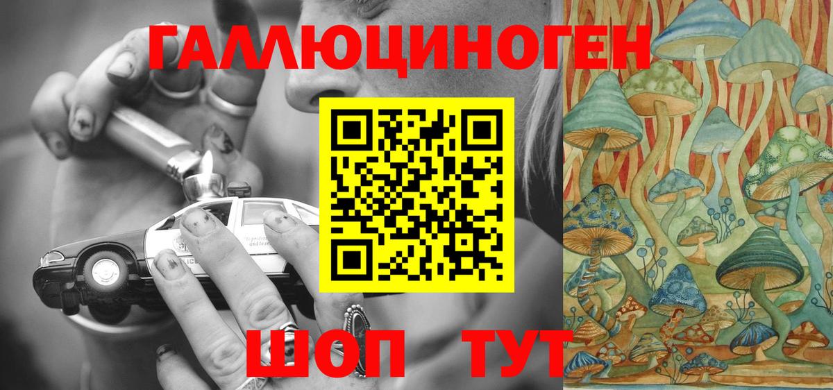 Похвистнево  Псилоцибиновые грибы Cubensis  Вход с VPN 