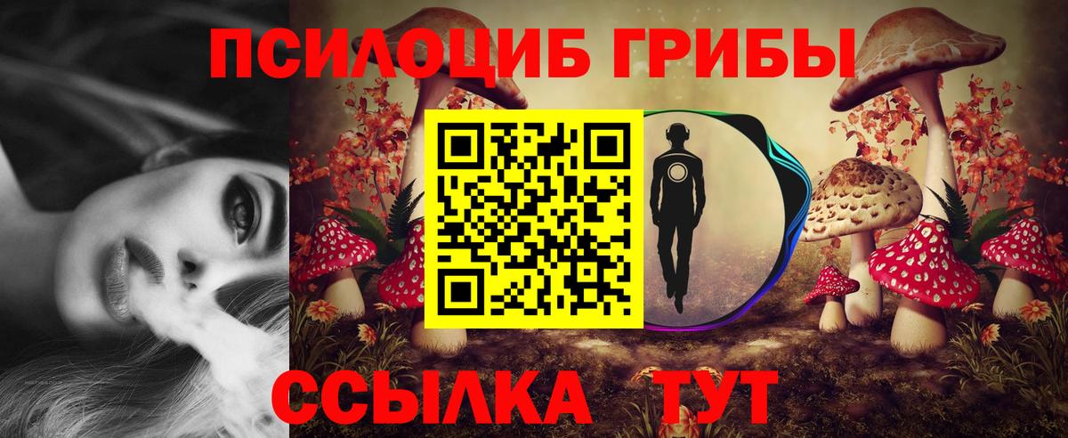 Галлюциногенные грибы мицелий Похвистнево